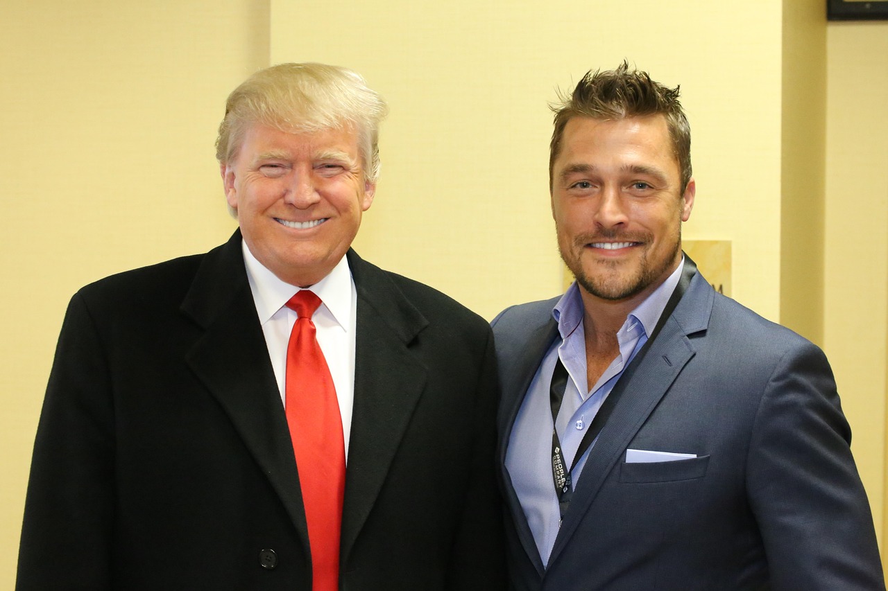 站群系统二级目录与二级域名选择,哪个对排名更有利